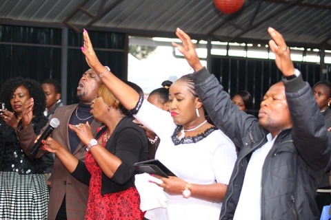 91e1dc0fee8046a3-photo