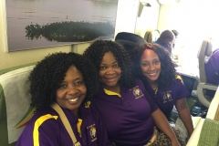 88e038a117059011-photo