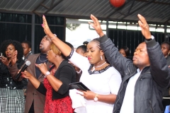 91e1dc0fee8046a3-photo